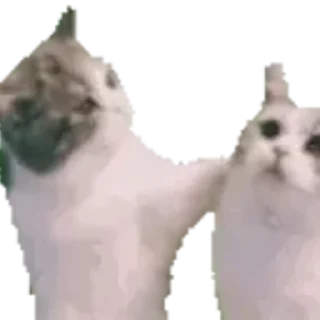 😽 emoji ULTIMATE's Video Pack (@Zeroo_Twoo_Bot) Telegram sticker 7 of 12