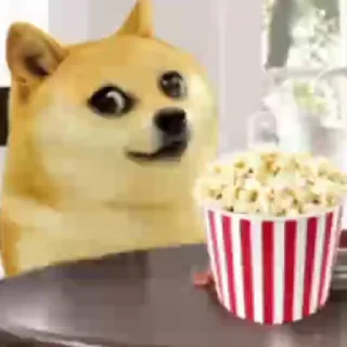 🎈 emoji Robin's Video Pack (@Zeroo_Twoo_Bot) 1 Telegram sticker 8 of 22