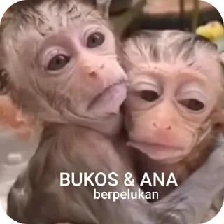 🌟 emoji adminn apa kek pack by @QuotLyBot Telegram sticker 16 of 120
