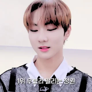 Sticker from 𝐉 𝐔 𝐍 𝐆 𝐖 𝐎 𝐍 - @jungwonsticker