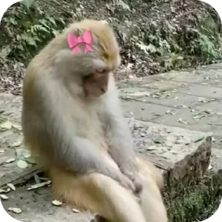 Sticker from stress
