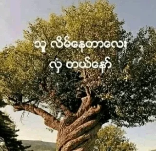 Sticker from MyanmarStickerPacks[1]
