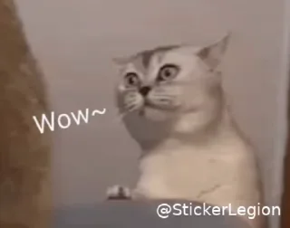 😾 emoji 𝔾 𝕊𝕌𝕊's Video Pack (@Gojo_proxbot) Telegram sticker 14 of 14