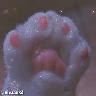 Sticker from 𝗕𝗹𝗶𝗻𝗴𝘆✨ @meaauxd @meaauchan @m