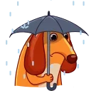😔 emoji 💓✿ l̸o̸n̸g̸ h̸a̸o̸c̸h̸e̸n̸✿💓s ᴀɴɪᴍᴀᴛᴇᴅ ᴋᴀɴɢ ᴘᴀᴄᴋ Telegram sticker 12 of 37