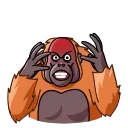 😡 emoji 💓✿ l̸o̸n̸g̸ h̸a̸o̸c̸h̸e̸n̸✿💓s ᴀɴɪᴍᴀᴛᴇᴅ ᴋᴀɴɢ ᴘᴀᴄᴋ Telegram sticker 19 of 37