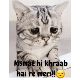 Sticker from Innocent billi