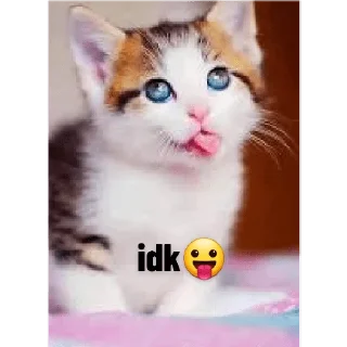 Sticker from Innocent billi