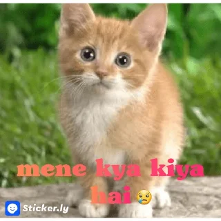 Sticker from Innocent billi