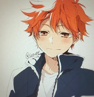 Sticker from Hinata Shoyo fanart