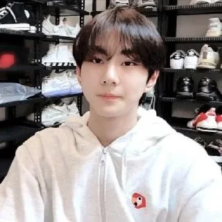 Sticker from YANG JUNGWON ✧ @KIMJCNNIEST