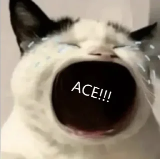 Sticker from 嚎哭深渊