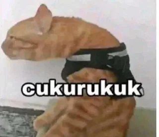 🤩 emoji random punya esa!! Telegram sticker 10 of 19