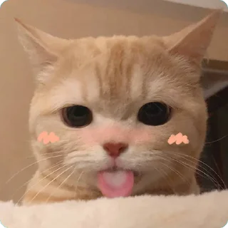 Sticker from 貓癡合集