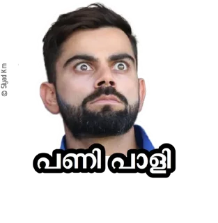 Sticker from @IPLFansKerala India 🇮🇳 Pack