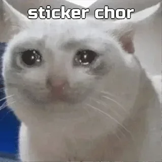 Sticker from Masu ne manaya hai bc