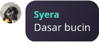 Sticker from Pacar mark