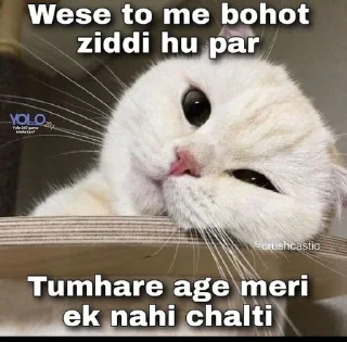 Sticker from Bille ka pyar