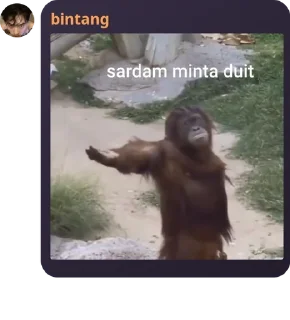 Sticker from monyet pack by @QuotLyBot