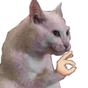 👌 emoji Raj's kang pack Telegram sticker 13 of 117