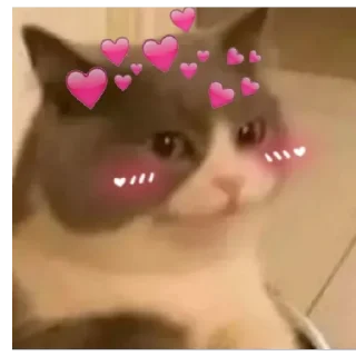 ♥️ emoji Mere wale stickers 1 — @stckrRobot Telegram sticker 20 of 120