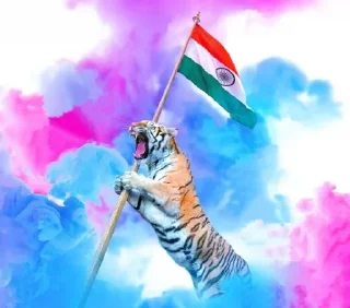 Sticker from Indian stickers — @stckrRobot