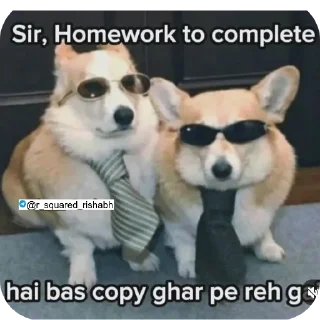 🐶 emoji Oye New Memes aa gye @r_squared_rishabh Telegram sticker 10 of 20