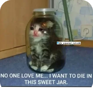 🐱 emoji Oye New Memes aa gye @r_squared_rishabh Telegram sticker 16 of 20