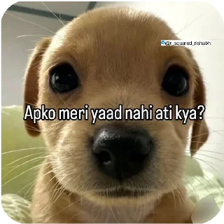 🖼 emoji Oye New Memes aa gye @r_squared_rishabh Telegram sticker 15 of 20