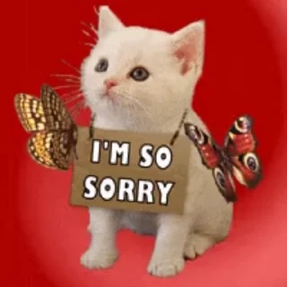 😸 emoji krishna's area Telegram sticker 8 of 41
