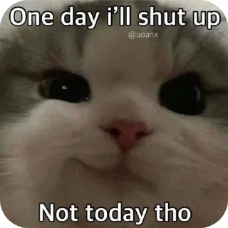 🐱 emoji sunyy @silucyudanimut Telegram sticker 20 of 33