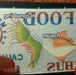 Sticker from banh ampun banh