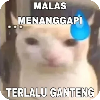 Sticker from Mewing