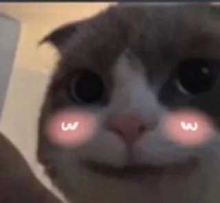 😳 emoji mewing squad pack by @QuotLyBot Telegram sticker 23 of 31