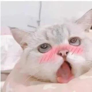 ✨ emoji xuqi贴纸包 Telegram sticker 11 of 65