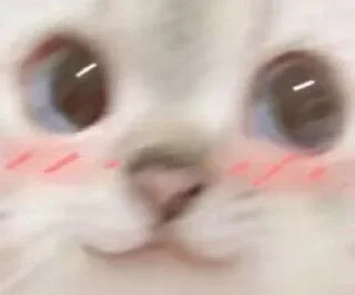 ✨ emoji xuqi贴纸包 Telegram sticker 5 of 65