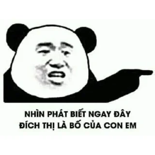 Sticker from Panda