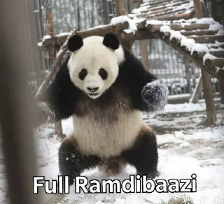 Sticker from Panda