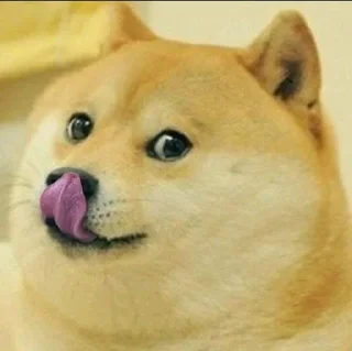 🤔 emoji @prajwalsb's pack Vol.3 Telegram sticker 15 of 54