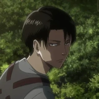 Sticker from Levi Ackerman