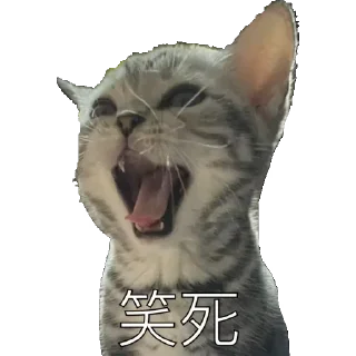 ⭐ emoji @facai3450 Telegram sticker 2 of 54