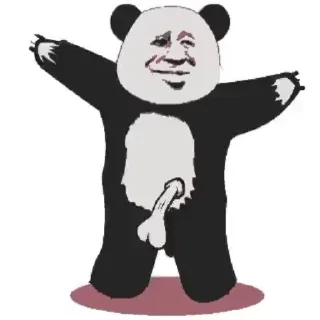 Sticker from 代开会员 定制表情    @didibei