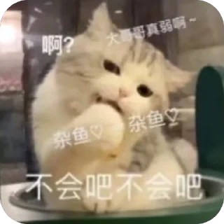 Sticker from laolei的贴纸包