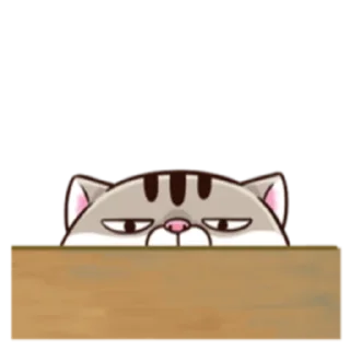 Sticker from Ami fat cat