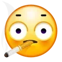 😳 emoji OIКΛWΛ ☯'s Animated Pack (@Zeroo_Twoo_Bot) Telegram sticker 16 of 103