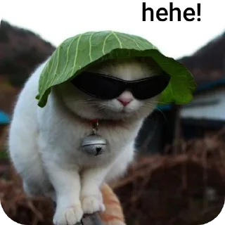 👓 emoji billu Telegram sticker 21 of 37