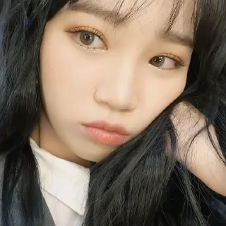 🌻 emoji Kim Chae Won • @KIMJCNNIEST Telegram sticker 23 of 31