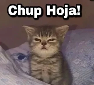 🤫 emoji @itx_Saira Telegram sticker 23 of 65