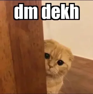 🥺 emoji @itx_Saira Telegram sticker 6 of 65