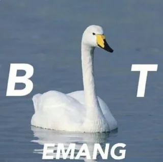 Sticker from punya bian